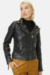 Nahkjakid Gipsy, M