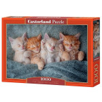 Pusle Castorland The Sweetest Kittens, 1000 o.