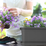 R&otilde;du lillepott 60cm sangadega kast