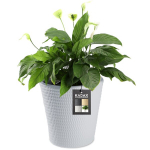 Lillepoti Lillekaas Hall 30 cm