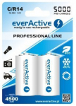 everActive HR14 C "Ready to Use" patareid