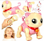 Interaktiivne kassipoeg kaugjuhtimisega