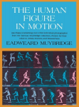 The Human Figure in Motion