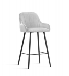 Baro tool Wood Garden Tulip, hall