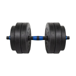 Reguleeritav bituumenist hantel Rebel Active &uuml;hendusega 1x20kg