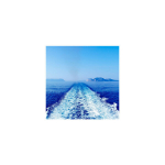 Reproduktsioon Meri