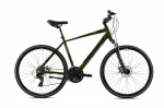 Linnajalgratas Capriolo Roadmaster Tour Man 20", roheline