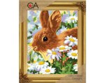 Kanvaa pildiga - tikkimiskomplekt, 22cm x 30cm, Collection D'Art, 6329K
