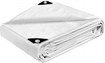 STARPYNG varikatuse kate, valge, 2 x 3 m