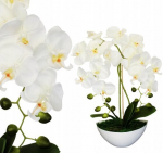 Skamvit kunstorkidee ilus orhidee potis kunstlilled lehed premium