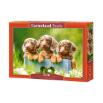 Puzzle 500 pieces Puppies adorable dachshunds