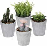 Vasemouh Kunstlikud sukulendid, 4 tk.