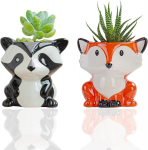Mini lillepotid keraamilised lillepotid keraamilised sukulentide potid kawaii lillepotid armsad aia lillepotid sukulentidele kodu kontori laua riiuli akna dekoratsioon (civet kuju, Fox kuju)