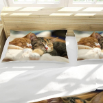 Hsglgna kassi voodipesukomplekt 135 x 200 cm, 3d kassi motiiviga mikrokiust voodipesukomplektid 3-osaline lukuga, 100% puuvill tekikoti ja padjap&uuml;&uuml;riga (cat-6, 135 x 200 cm)