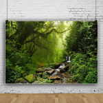 Yongfoto vin&uuml;&uuml;lfoto taust troopiline džunglimets j&otilde;gi kristallselge vesi sammaldunud kivid fotograafia taust fotokabiini peo fotostuudio rekvisiidid 2,5 x 1,8 m