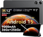 Tahvelarvuti Oscal Pad 100 12" Android 15 2.4G+5G Wifi RAM 36GB ROM 256GB/SD 2TB 9000mAh 16MP+8MP - Gris