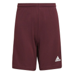 Lastep&uuml;ksid Adidas Squadra 21 GN8081, Burgundia v&auml;rvid