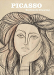 Picasso: Endlessly Drawing, Picasso: Endlessly Drawing