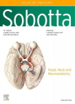 Sobotta Atlas of Anatomy, Vol. 3, 17th ed., English/Latin: Head, Neck and Neuroanatomy, Sobotta Atlas of Anatomy, Vol. 3, 17th ed., English/Latin: Head, Neck and Neuroanatomy