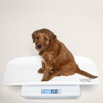 Loomade kaalumiseks m&otilde;eldud kaal Happy Pet PP170, 1 tk.