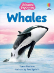 Beginners Whales, Beginners Whales