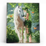 Teemanttikand 40x50 cm, M&uuml;steeriumide liit, varvikas, LG372e