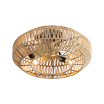 Laeventilaator 22 tolli boho-stiilis rotangist kupliga, DC-mootor, puldiga, 1 tk