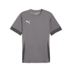 Puma T-s&auml;rgid Meestele TeamGoal Matchday Jersey Grey 705747 13 705747 13/S