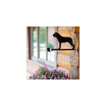 Amplihoidja Berhardiin