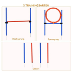 Koerte agility treeningkomplekt 3-in-1