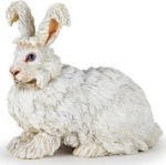Angora krokodill - PAPO