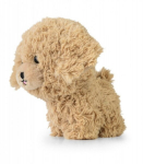 Daffi Teddy Pets Kuldne puudel 190x140 mm pehme m&auml;nguasi