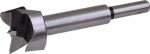 Proline Silindriline puidupuur 25 mm