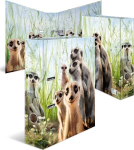 Eraldaja, A4, 7 cm, z graafika