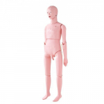 &Otilde;endus&otilde;ppe mannekeen, elusuuruses mees, 153x45x21 cm, PVC