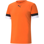 Puma teamRISE meeste s&auml;rk, oranž 704932 08