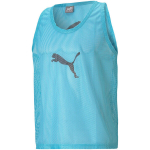 Puma meeste jalgpallivorm Bib sinine 657251 41