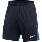 Nike Dri-FIT Academy Short K meeste l&uuml;hikesed p&uuml;ksid tumesinised DH9236 451