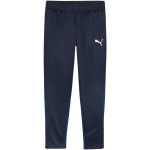 Puma Team Goal Training meeste p&uuml;ksid, tumesinised 658639 06