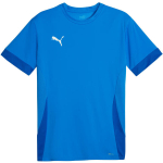 Puma teamGoal Matchday Jersey sinine meeste s&auml;rk 705747 02