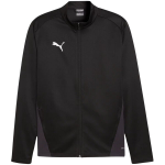 Puma TeamGoal Training Jacket meeste jakk, must 658633 03