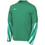 Nike Dri-Fit Park V Stadium laste s&auml;rk, roheline HV8318 324