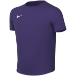 Nike Dri-Fit Park VIII laste s&auml;rk lilla HV8182 547, L