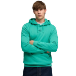 Puma ESS No.1 Logo Centered Hoodie meeste kapuutsiga pusa, roheline 692914 40