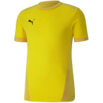 Puma teamGOAL 23 meeste s&auml;rk, kollane 704171 07, M