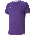 Puma teamLIGA meeste s&auml;rk, lilla 704917 10