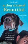 Dog Named Beautiful: The true story of the Labrador who taught a Marine to love life again