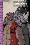 Teenage Mutant Ninja Turtles: The IDW Collection Volume 8: The IDW Collection Volume 8