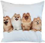 Dekoratiivne padjakate