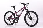 Laste jalgratas Gust Rebex Active 24cll, 14"